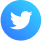 twitter-icon